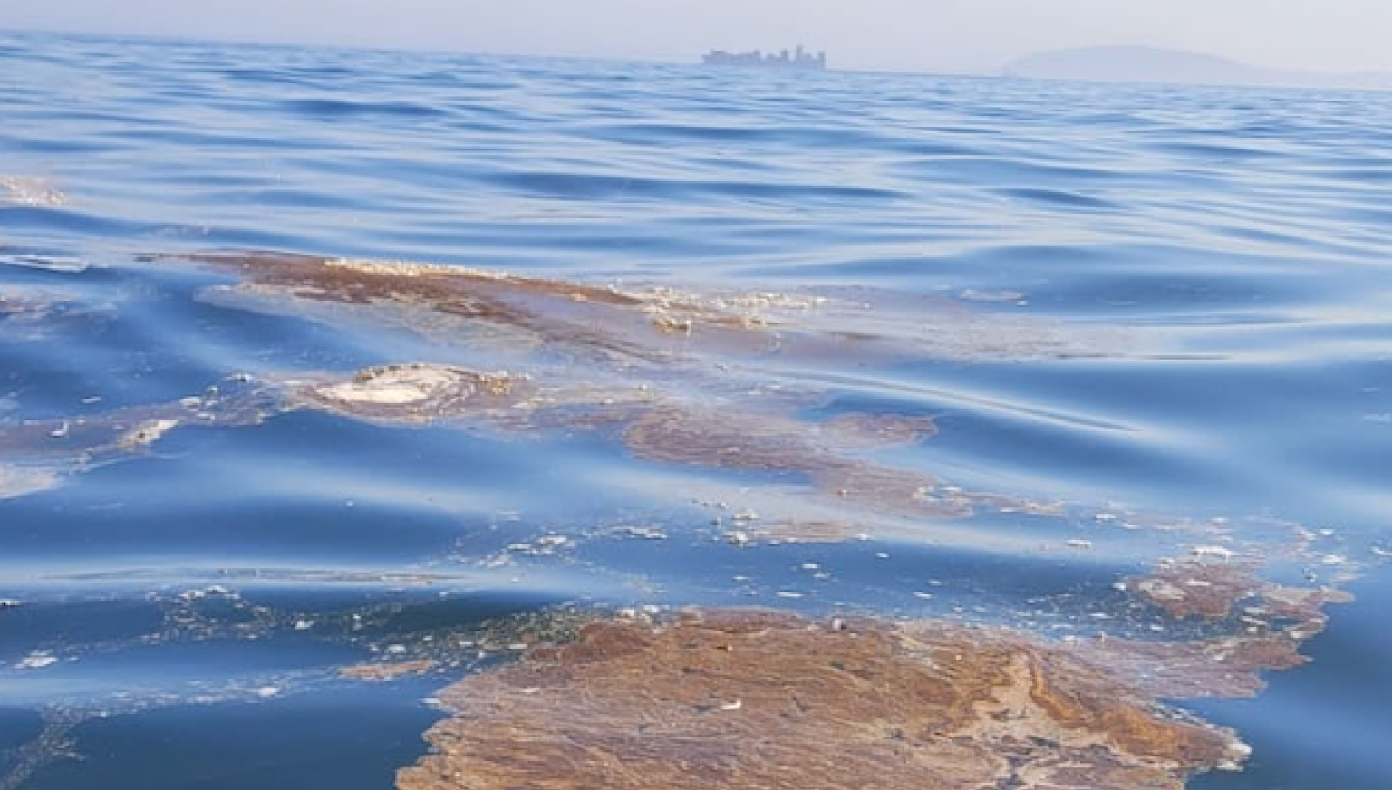 First-Hand Evidence Shows Environmental Department Misleading Public ...