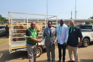 WhatsApp Image 2022-10-20 at 13.51.37