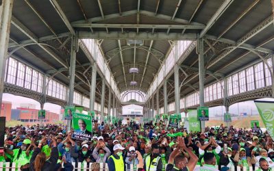 d485a8f6-8af0-4724-8973-a3d6e1ae9b0f